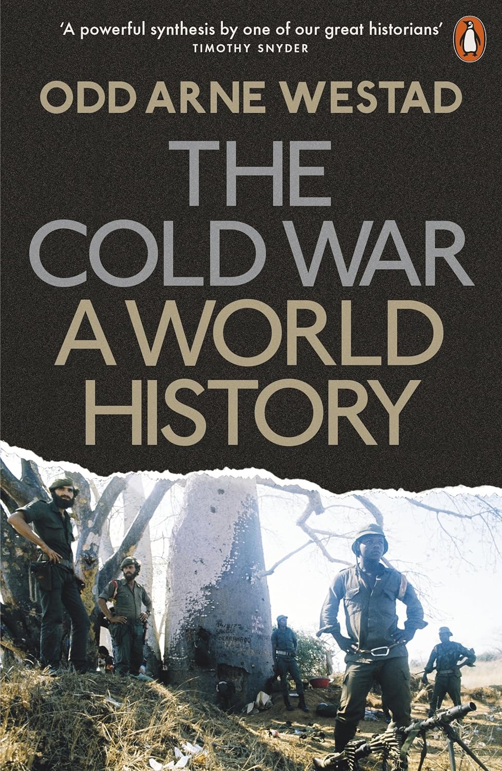 The Cold War: A World History