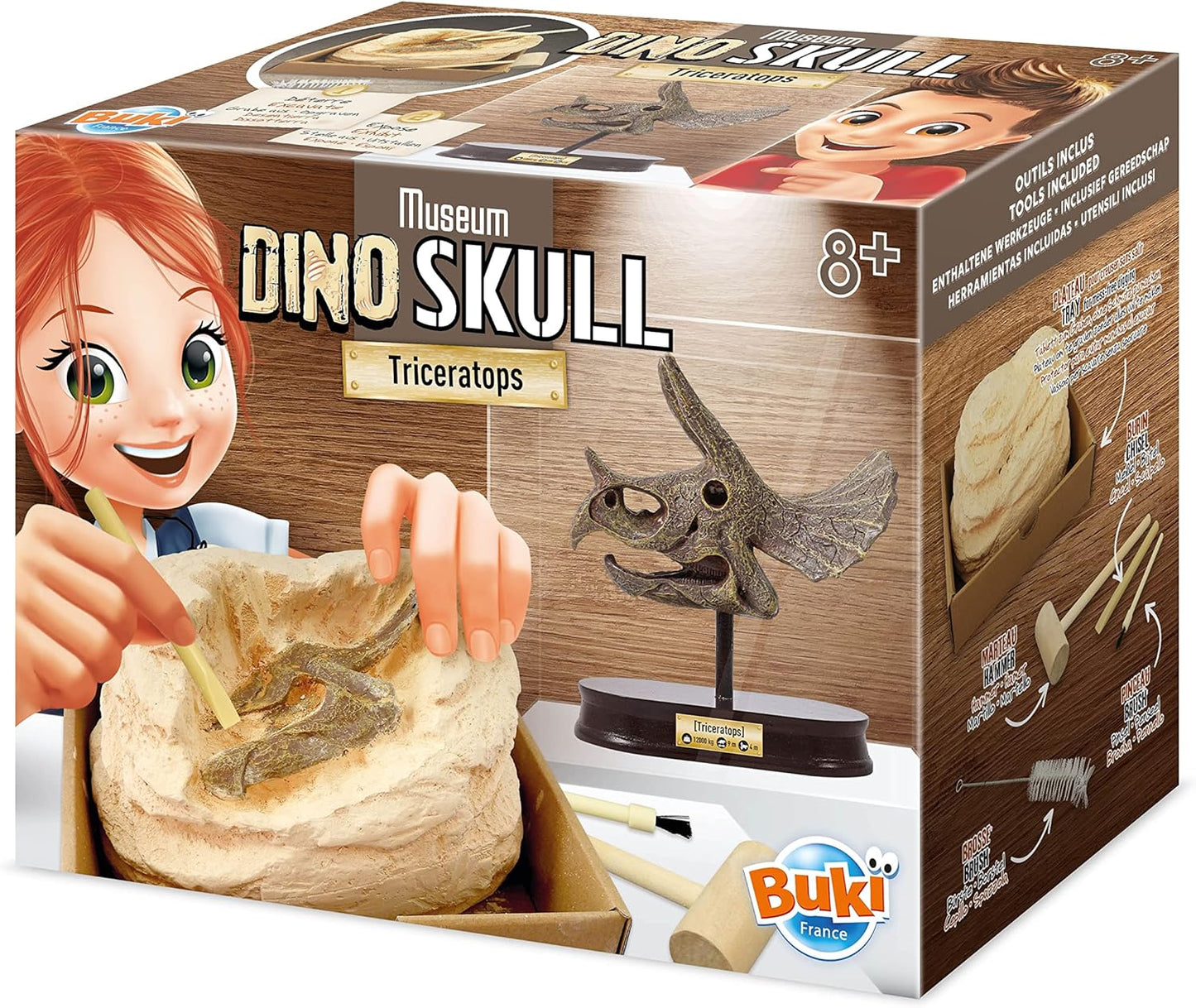 BUKI 2131 Dinosaur Skull Triceratops