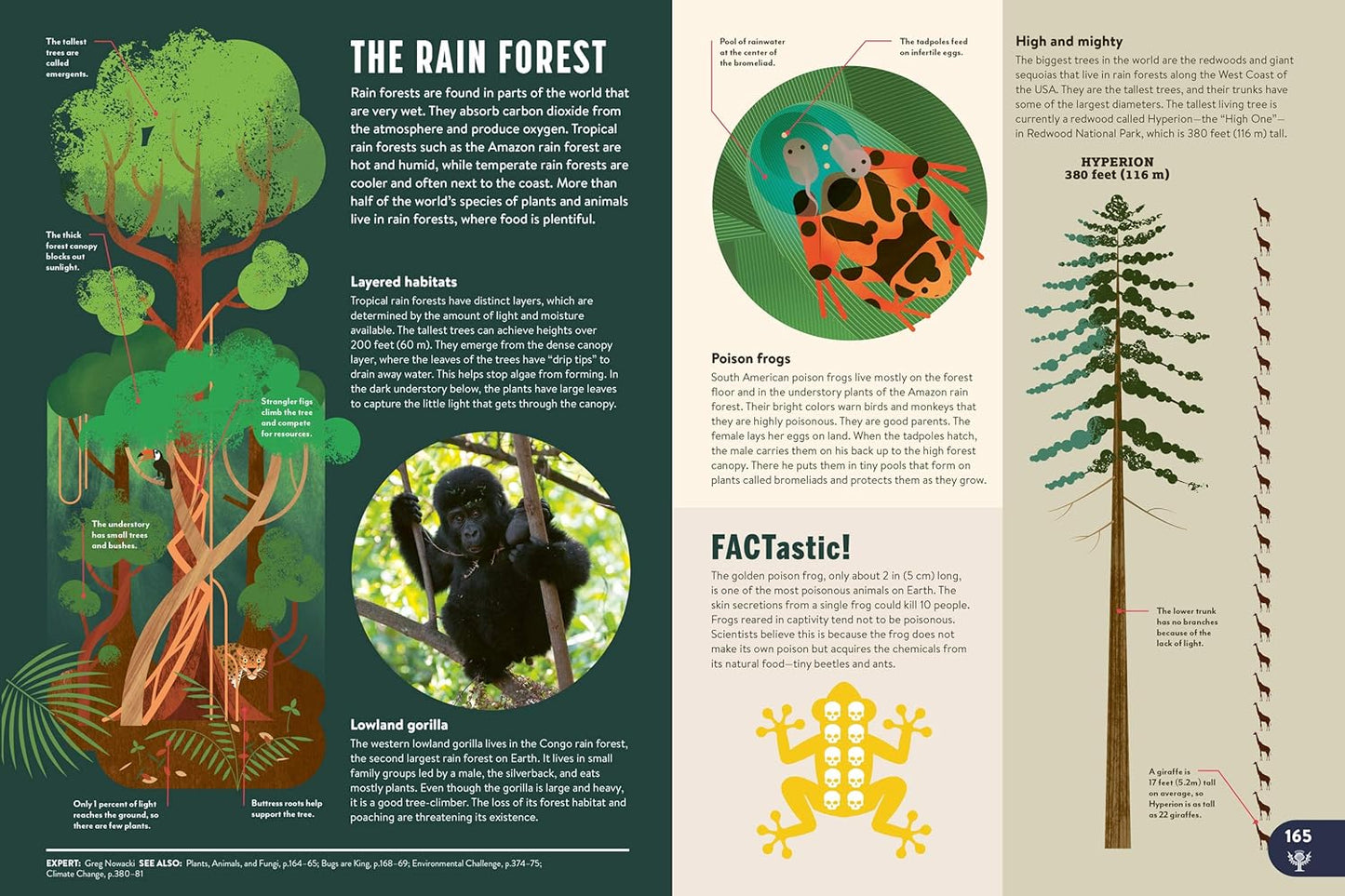 Britannica All New Children's Encyclopedia: What We Know & What We Don't: 1