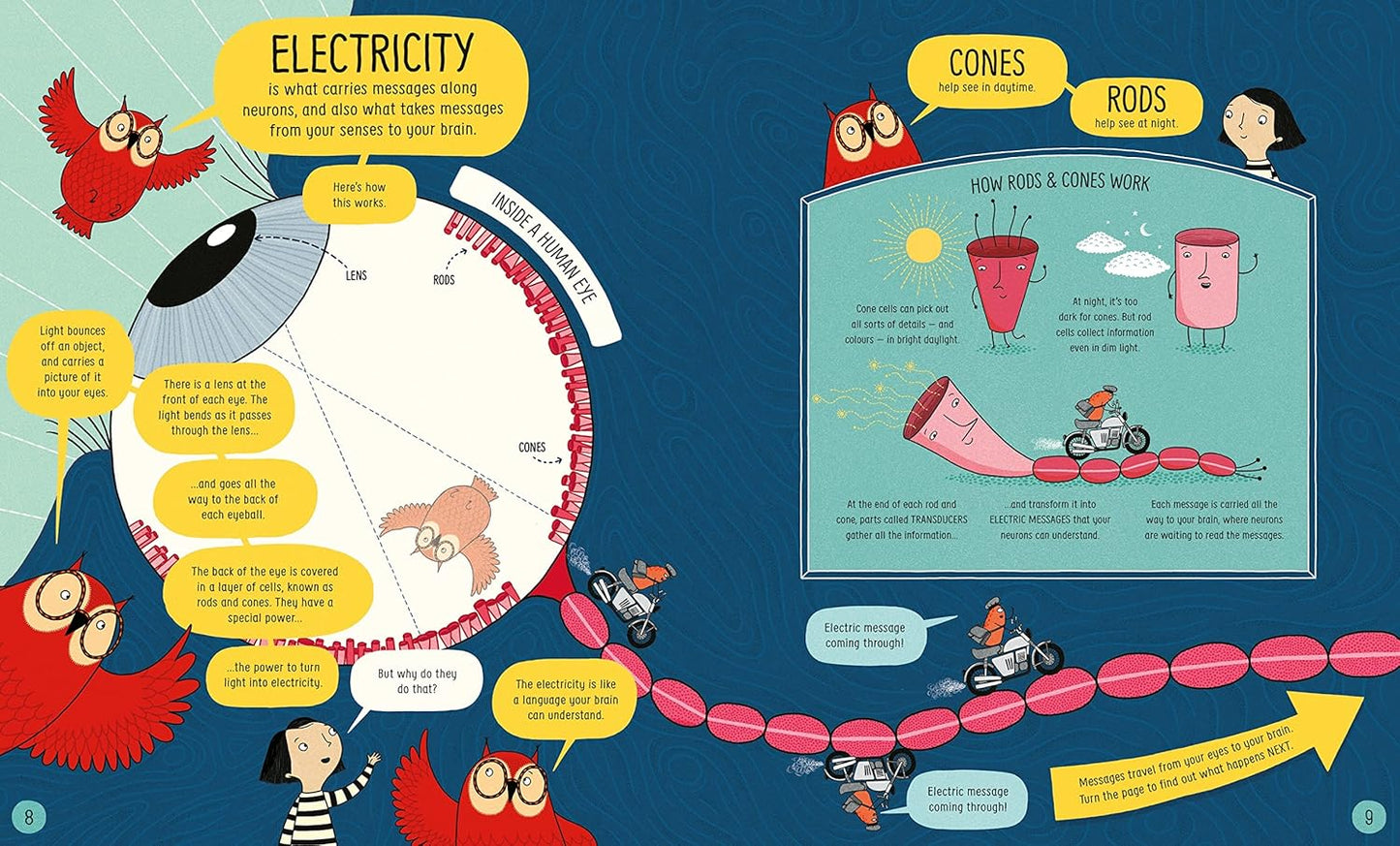 The Usborne Book of the Brain and How It Works: 1