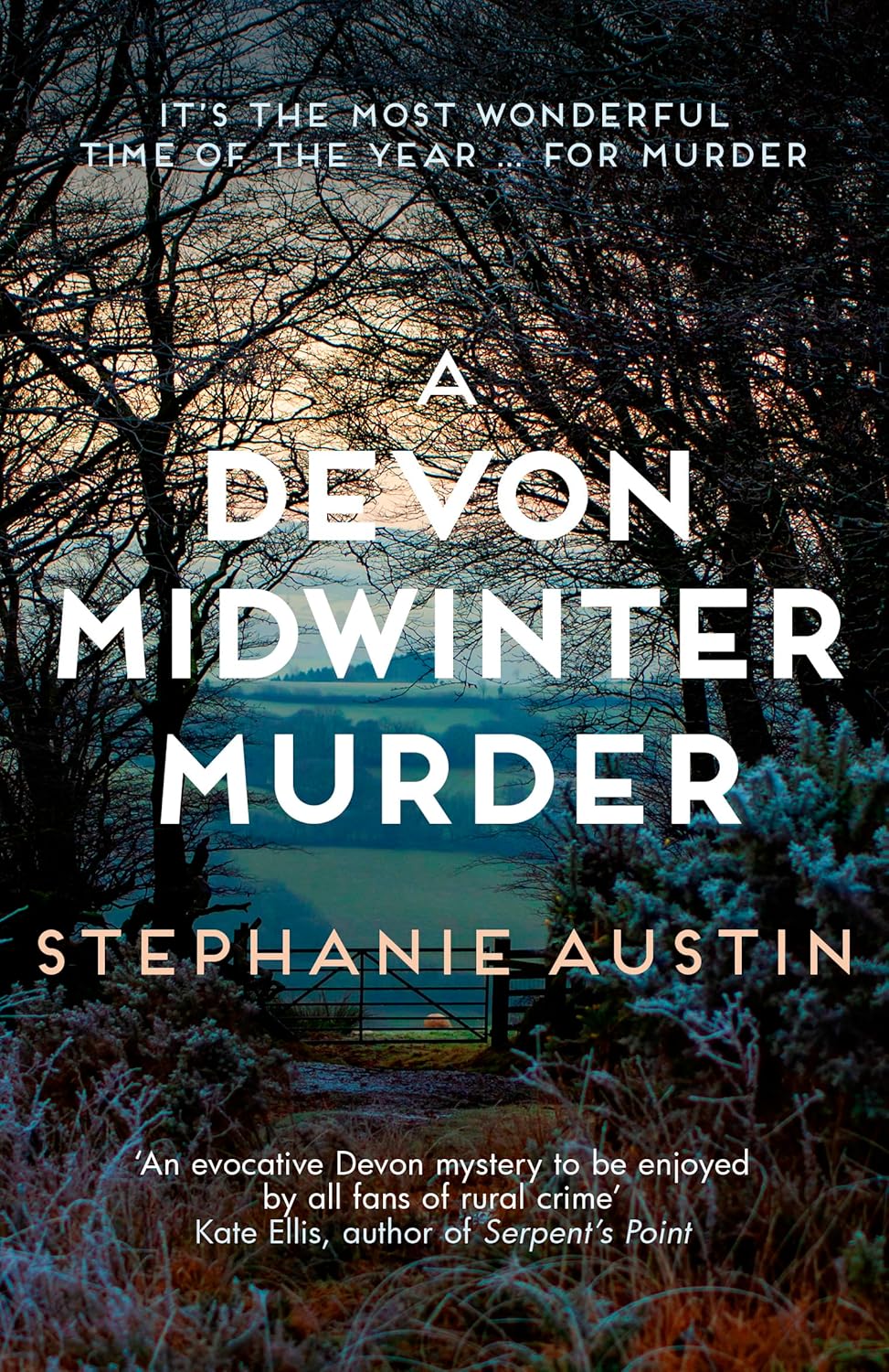 A Devon Midwinter Murder: The must-read cosy crime series (Devon Mysteries)