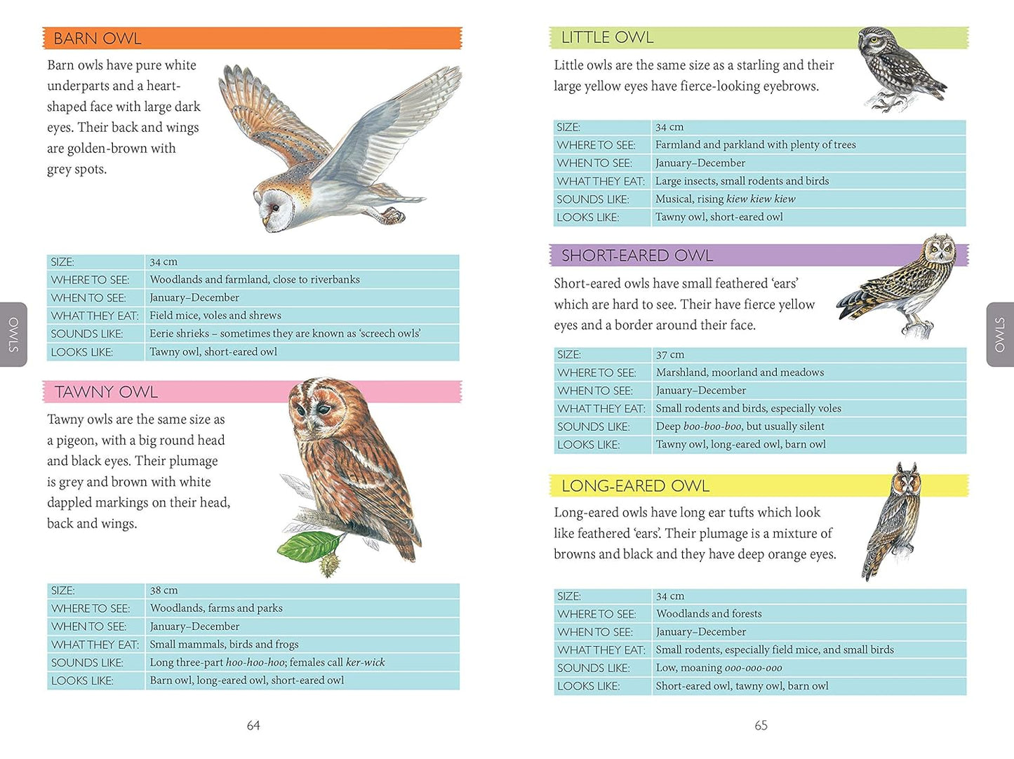 National Trust: Out and About Bird Spotter - A children's guide to over 100 different birds