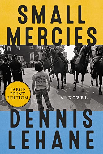 Small Mercies (Large Print)