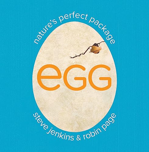 Egg: Nature's Perfect Package