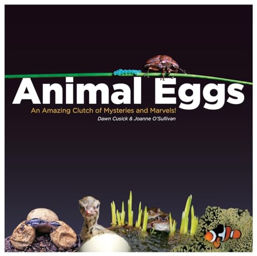 Animal Eggs: An Amazing Clutch of Mysteries and Marvels