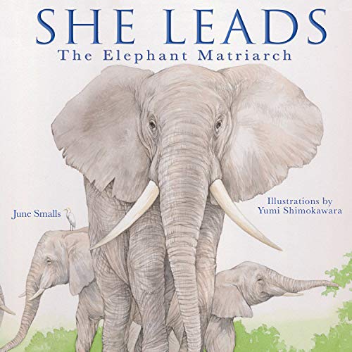 Οδηγεί: The Elephant Matriarch