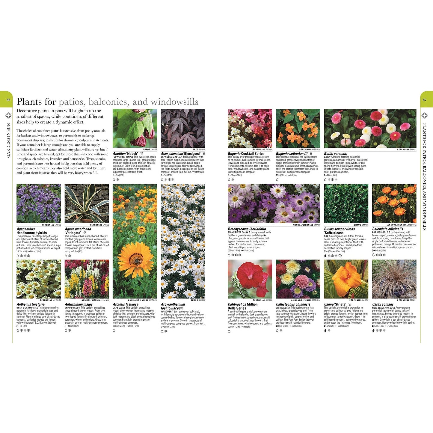 RHS What Plant Where Encyclopedia by The Royal Horticultural Society 9781409382973