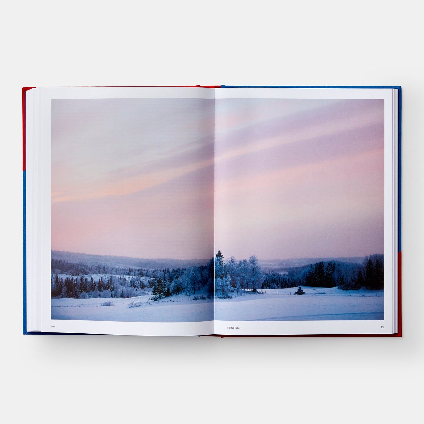 Faviken: 4015 Days - Beginning to End by Magnus Nilsson