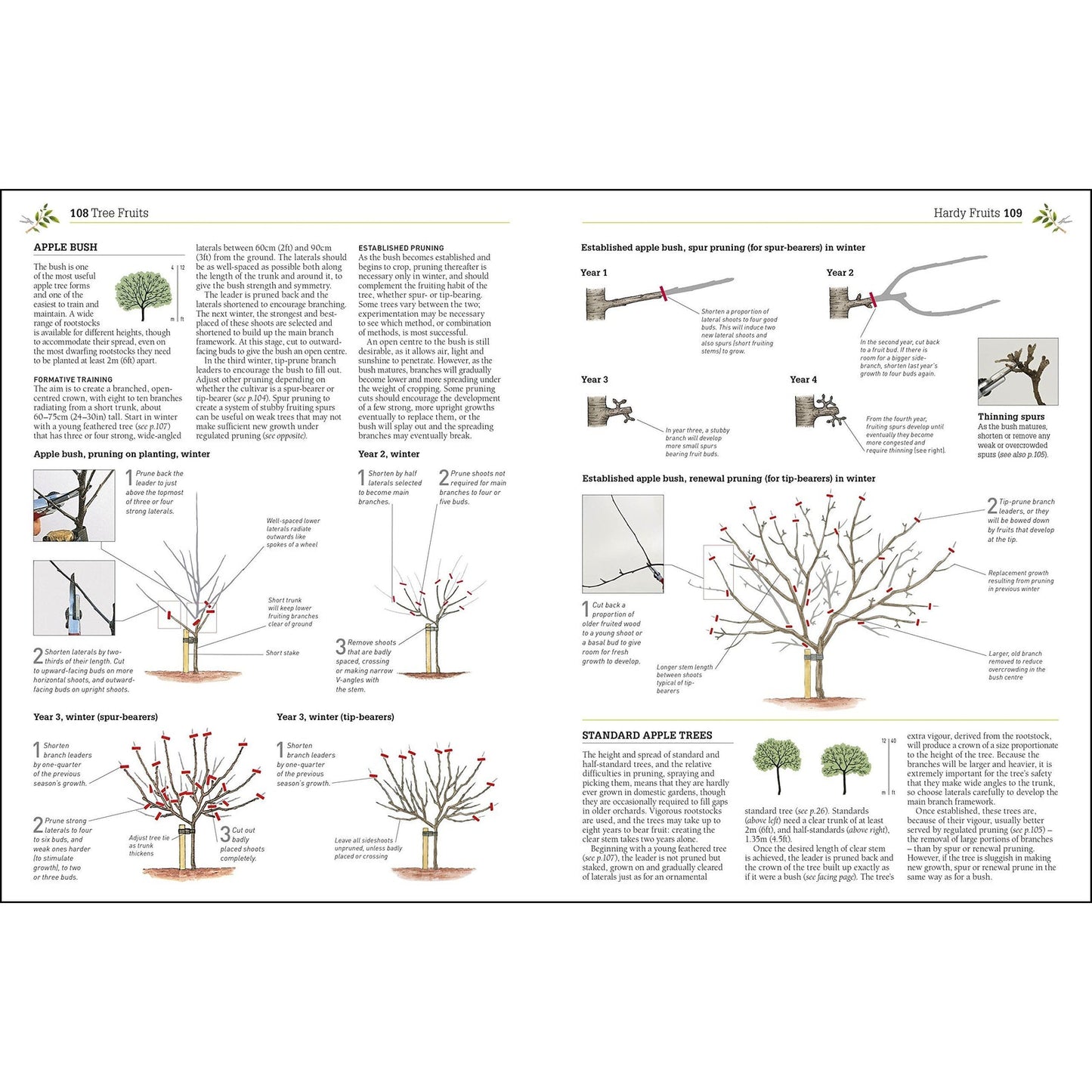 RHS Pruning And Training - Revised New Edition Over 800 Plants - What When And How To Prune