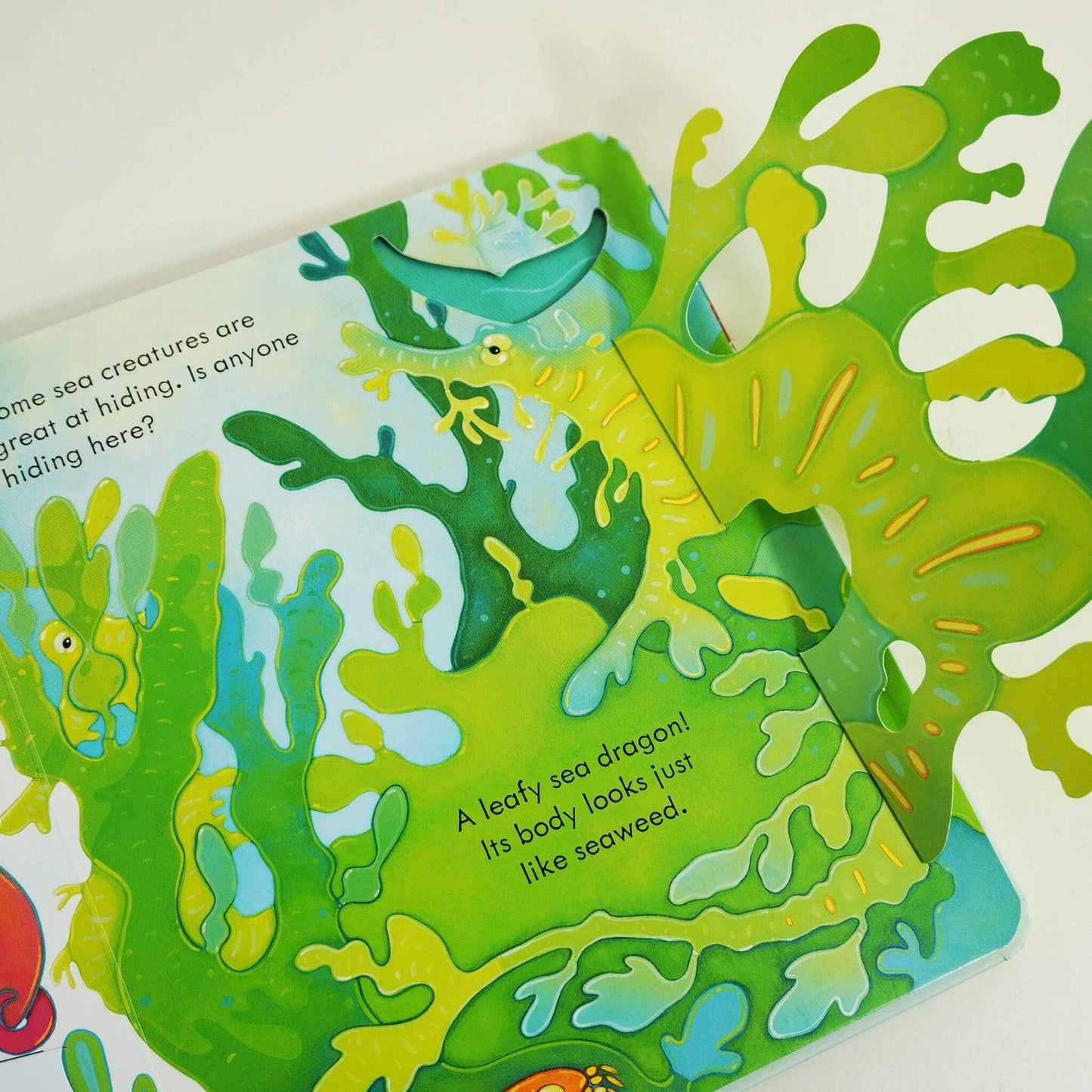 Σετ δώρου Usborne Peep Inside Collection 4 Books - Peep Inside Space, Sea, Jungle, Tree