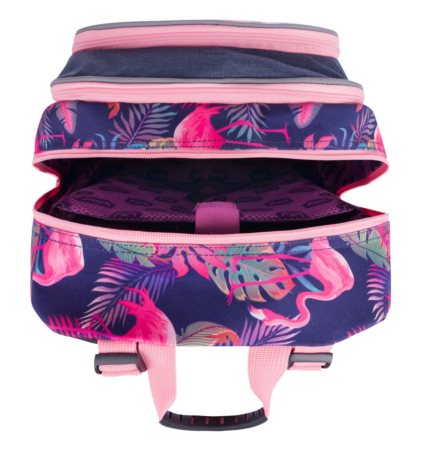 School backpack Core Flamingo