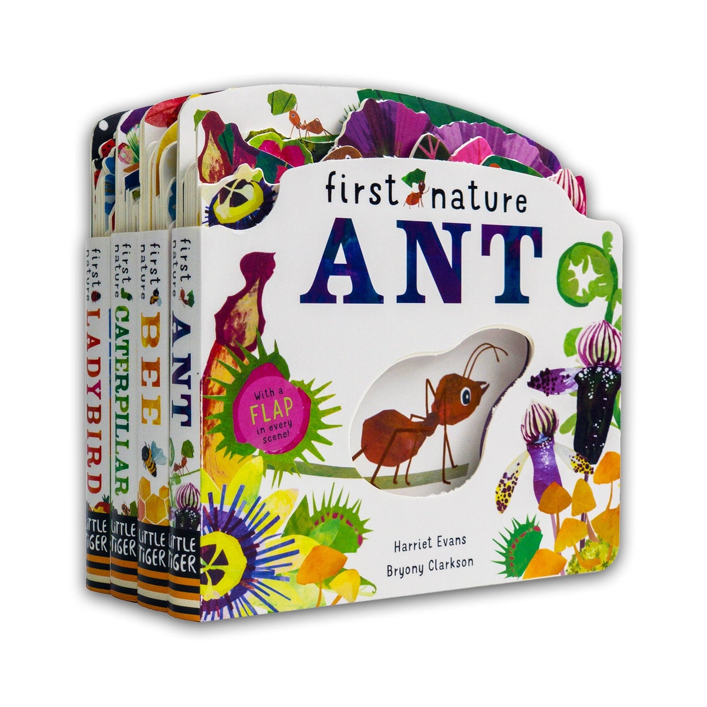 First Nature 4 Books Childrens Collection Set (Ant, Bee, Caterpillar & Ladybird)