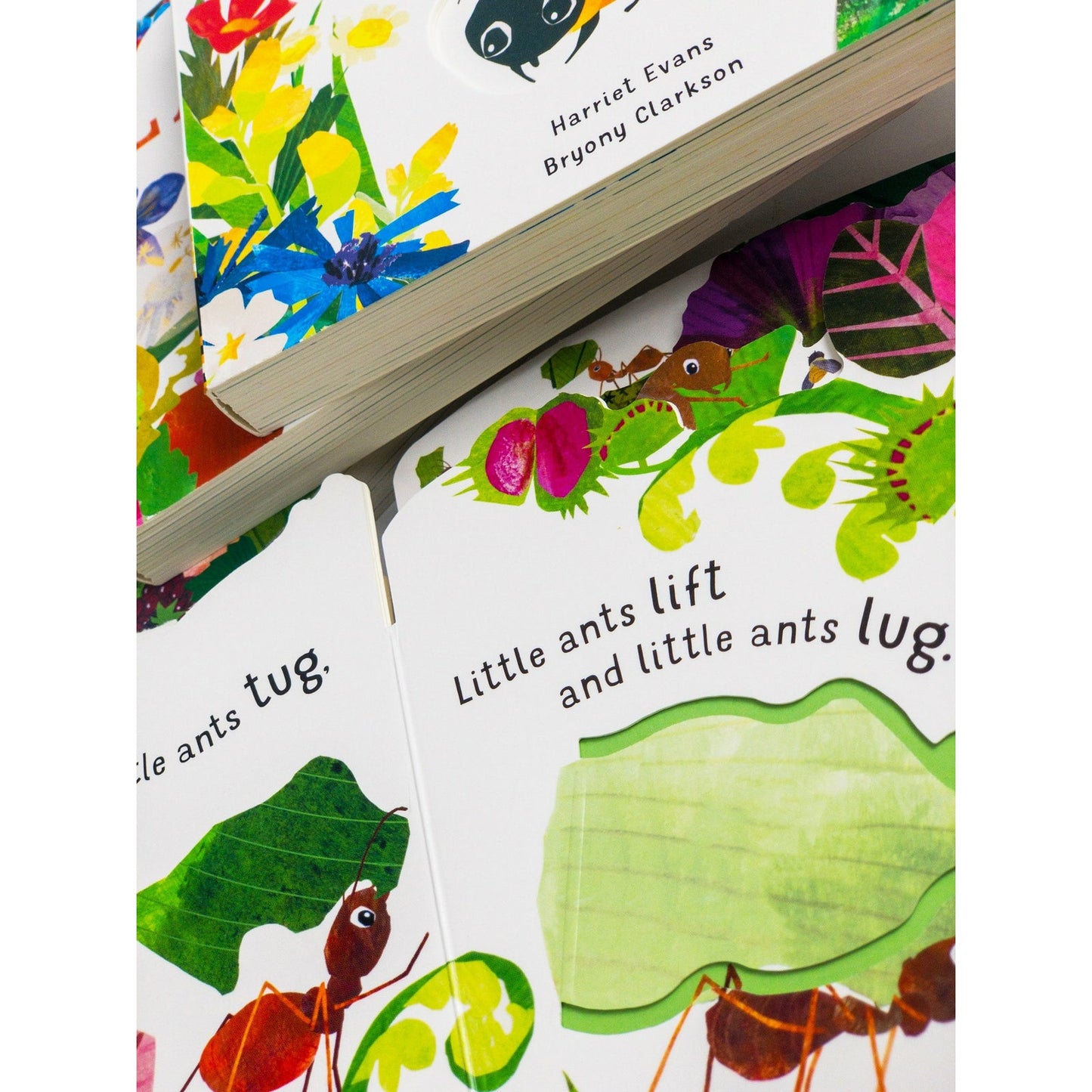 First Nature 4 Books Childrens Collection Set (Ant, Bee, Caterpillar & Ladybird)