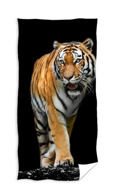 Tiger, bath towel, 70x140 cm